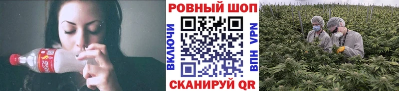 Виды наркотиков купить Новокузнецк кракен онион  МЕТАМФЕТАМИН  Псилоцибиновые грибы  Бошки Шишки  Меф мяу мяу  КОКАИН 