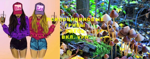альфа пвп Новокубанск