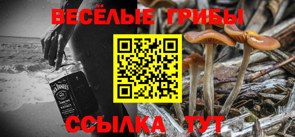 Новокузнецк  Галлюциногенные грибы Psilocybine cubensis  Вход с VPN 